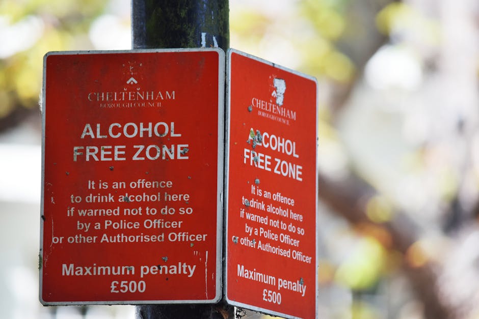 Two red Cheltenham Borough Council alcohol-free zone signs are mounted on a black metal pole outdoors, with a blurred background featuring sunlight filtering through trees. The signs clearly display the message 'ALCOHOL FREE ZONE' in bold white letters, along with additional text warning that drinking alcohol here without prior police or authorised officer permission is an offence, and that the maximum penalty for violations is £500. The surface of both signs shows minor wear and scratches, indicating exposure to the elements. The signage is positioned at a height suitable for visibility from a distance, likely to inform the public during home relocations or movement activities in the area. This scene relates to local regulations that house removals companies such as Merton Removals need to consider when planning furniture transport and packing during home removals, ensuring compliance with community rules around alcohol consumption near the property.